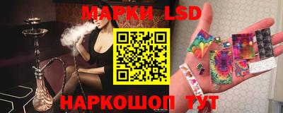spice Гай
