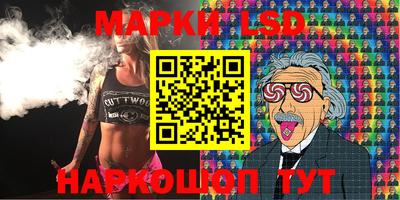 стафф Гатчина