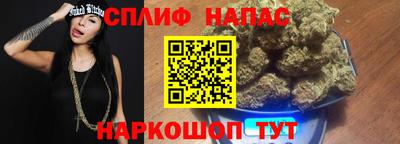 spice Гай