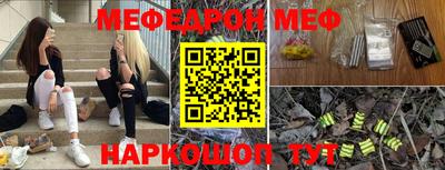 стафф Гатчина