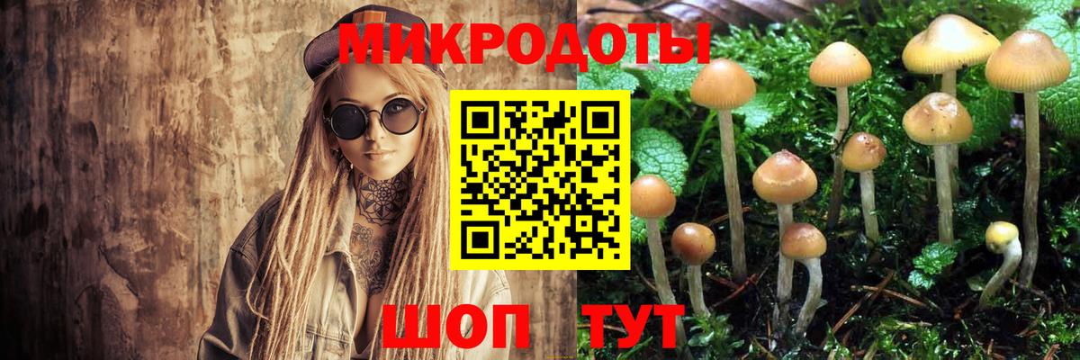 Псилоцибиновые грибы Psilocybine cubensis Михайловка
