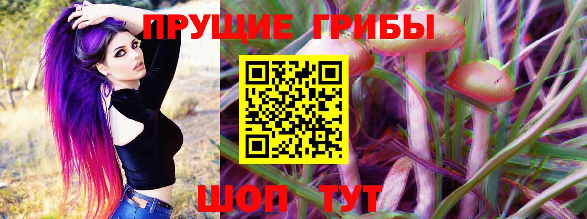 Галлюциногенные грибы Psilocybe  Вход с VPN  Михайловка  Псилоцибиновые грибы мухоморы 
