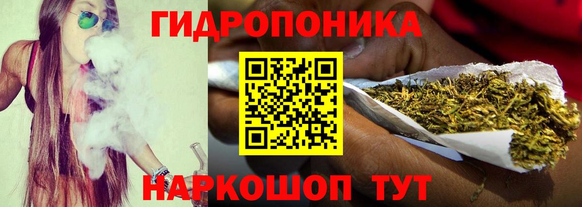 Михайловка  Шишки марихуана план  Конопля OG Kush  Шишки марихуана конопля  Бошки марихуана гибрид  Вход с VPN 
